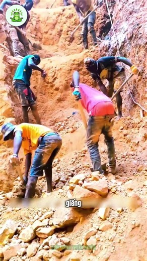 Giải Mã Bí Mật Quy Trình Đào Vàng Bậc Thang Ở Phi Châu!