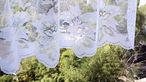 Molaxhome White Short Lace Cafe Valance,Beautiful Semi Sheer Window Decor for Kitchen Cafe Dinning Bath Room (White-08, 63Wx12L)