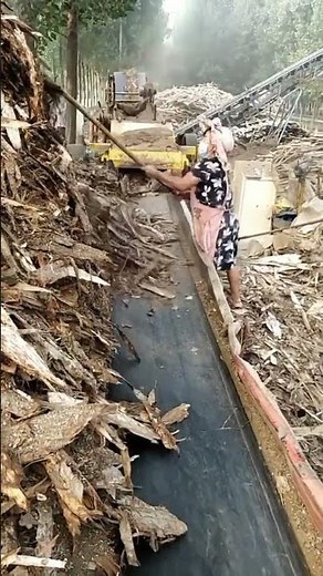 Wood Chip Processing Plant: Feeding Bark and Wood Debris onto the Conveyor