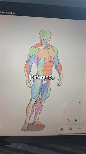 How to Draw Anatomy: Step-by-Step Digital Art Tutorial