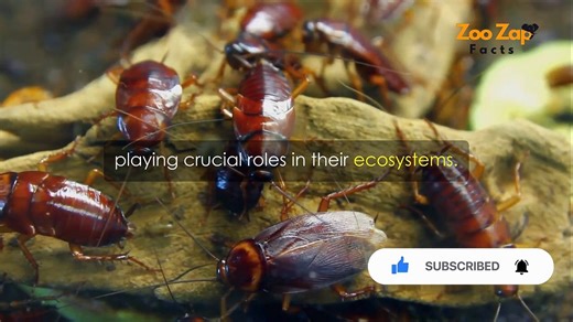 The Resilient Cockroach Secrets of Survival for Millions of Years