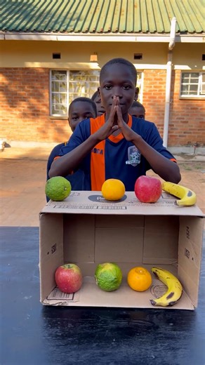 192K views · 659 reactions | This fruit game looks like so much fun! | MetDaan DIY | Facebook