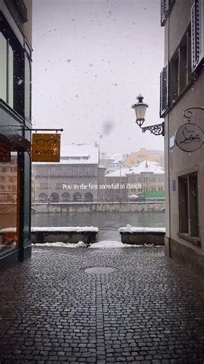 Last year in November the first snowfall hit Zurich 🌨️ When will it hit this year? | Côte d'Azurich