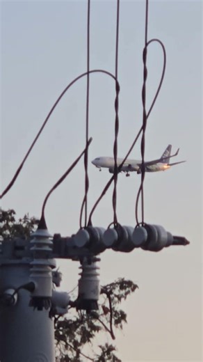 久しぶりのANA737機｢ふるさとジェット｣🛬※逆光・見づらい部分あり🙏