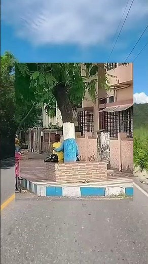 #reels #video #shorts #shortsfeed #shortsviral #shortsvideo #viral