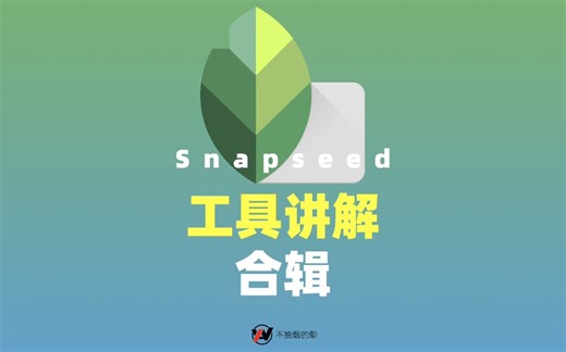 【 Snapseed 工具讲解】手机修图软件 snapseed 28+2 个工具篇新手上手系列教程（全）
