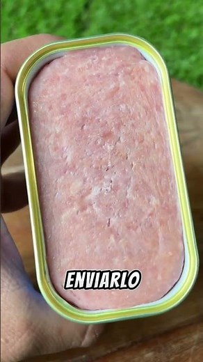 todos sabemos lo que es el spam 🫩 pero sabias de dónde proviene la palabra? #spam #aprender #aprende