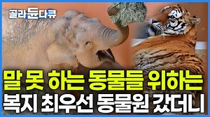 야생으로 못 돌아가는 동물들만 모였다. 연중무휴 1분1초가 바쁜 사육사가 하루 똥 140kg 치우며 26살 코끼리와 수다 떨더니｜극한직업｜#골라듄다큐