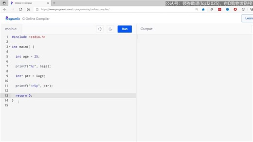 23 （指针）C Pointers _ C Programming For Beginners