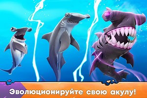 Hungry Shark Evolution: акула