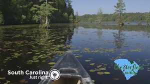 143 reactions · 41 shares | From horseback riding or canoeing, to motocross and golf, there are endless opportunities for outdoor adventure in Chesterfield County, South Carolina. Come discover the undiscovered natural beauty that awaits. #DiscoverSC #DiscovertheUndiscovered Chesterfield County, SC Tourism | Discover South Carolina | Facebook