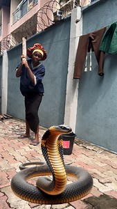 Evil snake | Ogastreet