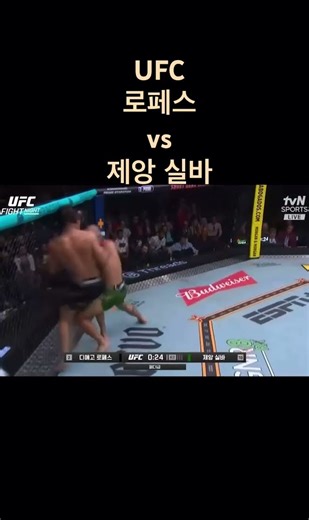 로페즈 vs 제앙실바 2라운드ko #ufc