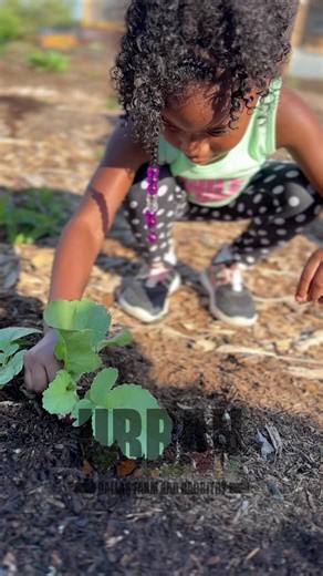 🌼 Little Gardeners Workshop 🌼 Hands-on, screen-free learning for kids of all ages! At our Little Gardeners Workshop, kids plant their own mini gardens, learn how plants grow, and take home something they can care for and watch thrive. ✔️ Perfect for homeschoolers, families, schools & groups ✔️ Small & large groups welcome ✔️ Individual classes available ✔️ Booked 7 days a week Each child receives seeds, a planter, journal, and guided instruction — all in a fun, encouraging environment. Let’s g