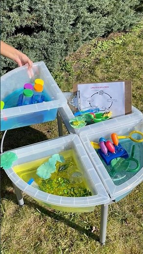 Frog Lifecycle Sensory Play Activity for Kids #shorts #STEM