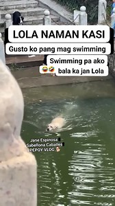 Bala ka jan Lola, swimming pa ako, ayaw ko pang umuwi 😂🤣🐕🐕🐕 #doglover #furbaby #makulitnabata | Jane Espinosa Sabellona Caballes