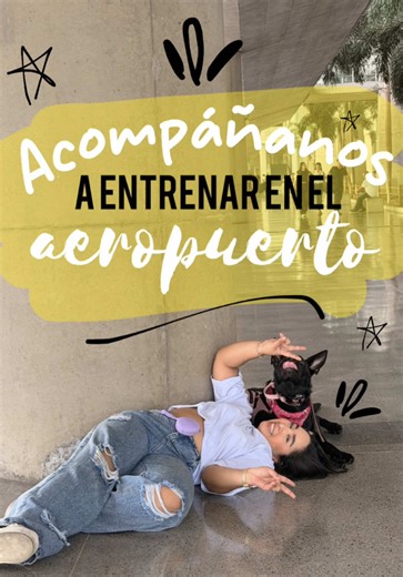 Hoy: entrenamiento en el aeropuerto🐕‍🦺🩵 Cada experiencia suma para que pueda cumplir su labor de forma segura y responsable #servicedog #aeropuerto #desmayo #soyjhervasquez #alertdog