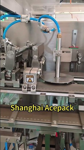 Acepack horizontal Packing machine