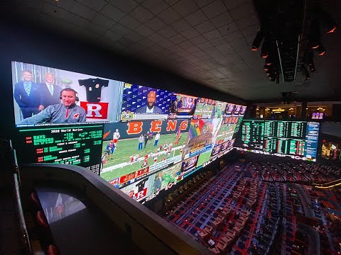 FIRST LOOK: Inside the world's largest sportsbook ahead of Circa opening