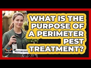 What Is The Purpose Of A Perimeter Pest Treatment?
