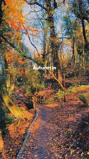 Ironbridge is even more breathtaking when wrapped in autumn colours 🍁✨ Take a stroll along the River Severn, browse the independent shops and cafés, and soak in the golden glow over the world’s first iron bridge. It’s the perfect spot for a crisp weekend wander (and a hot chocolate stop, of course!). Brilliant 🎥 IG / @ourwildplan | Visit Shropshire