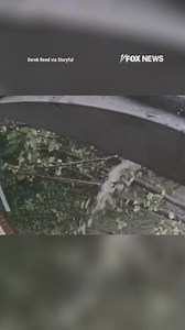 WATCH: Surveillance footage captures the dramatic moment a tree crashes into a home during a severe storm. | Fox News