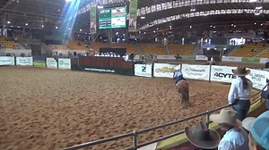 33K views · 815 reactions | There were so many highlights at this year's Nutrien Classic Horse Sale, standout horses and in this instance a standout horseman. We saw 10yo Riley Ellrott entertain the crowd at last year's Dalby Stock Horse Sale and he did the same in Tamworth selling his 4yo mare Bighouse Pumpkin for $20,000. Congratulations Riley, love your work! Nutrien Equine | Select Sires | Facebook