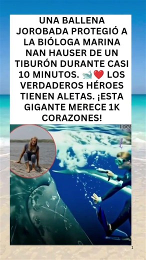 🐋 La ballena que salvó una vida ❤️