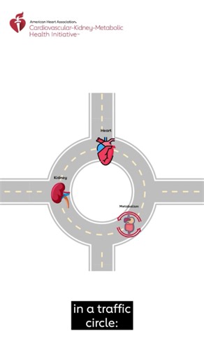 Health is a team effort. The heart, kidneys and energy systems have different jobs, but together they are one system that impacts your overall health. Get regular cholesterol, blood glucose, blood pressure and kidney screenings to know your risk. | American Heart Association