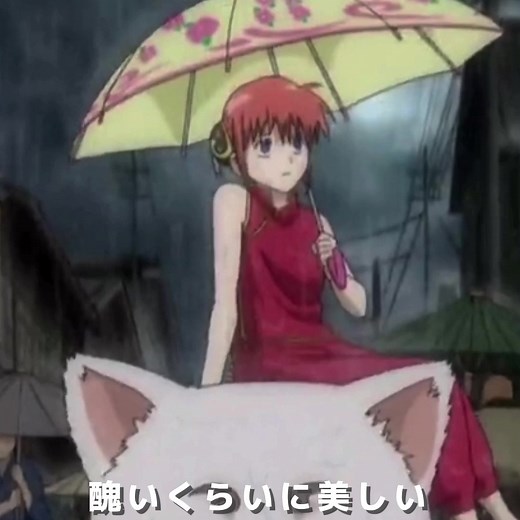 ｢私悔しい｣#銀魂 #銀魂は永久に不滅です #神楽 #おすすめ乗りたい #おすすめ #だれかの心臓になれたなら