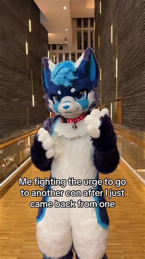 Exploring the Furry Fandom Conventions
