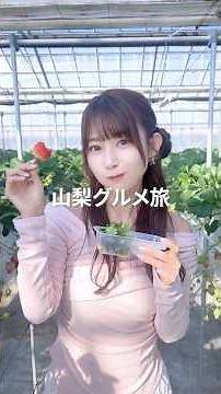 Full Enjoyment of Strawberry Picking, Scenic Hot Springs, and Hoto! A Gourmet Trip Around Isawa O...