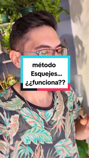 Consejos para hacer esquejes de plantas fácilmente