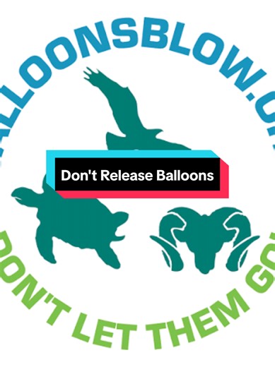 Instead of releasing balloons consider other ways to celebrate or remember someone. Plant a tree, make confetti with leaves and a paper punch that you can throw, donate to a good cause, throw out some seeds, organize a cleanup effort in your area, etc. Do something positive. Just whatever you do, don't litter 😞 #taxidermy #vultureculture #oddities #balloons