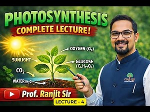 Class 11 Biology - Photosynthesis | Lecture 4 | Dark Reaction