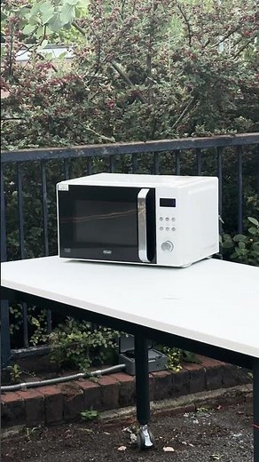 What happens if you put Batteries in the Microwave?