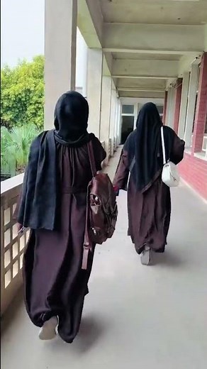 A day in uaf | university of agriculture Faisalabad| main campus