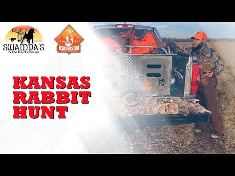 17 Rabbits 🐰Harvested On This Kansas Hunt! #rabbithuntingwithbeagles #rabbithunt