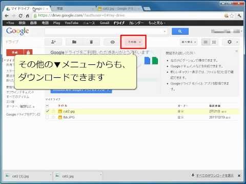 Google Drive ファイルのダウンロード