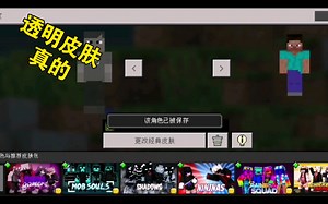 我的世界1.19.30透明皮肤
