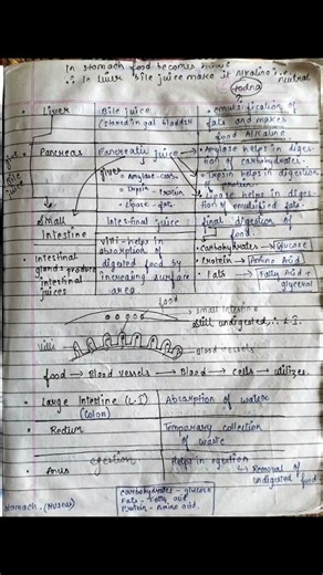 Class10/biology/life process/ notes 🎶💯