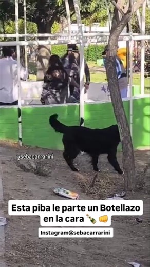 Seba Carrarini on Instagram