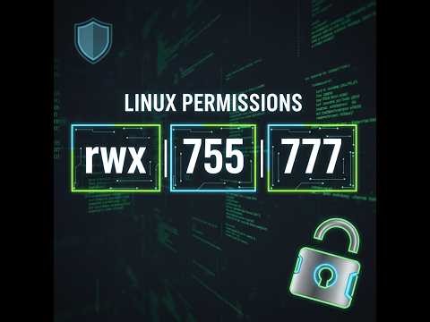 VIDEO 2.3.1 Linux rwx Permissions Explained: Understand 755, 644, and 777 from Scratch