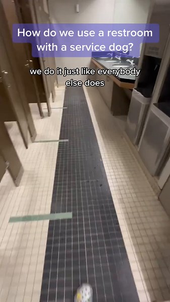 Understanding Service Dog Life with Mabel