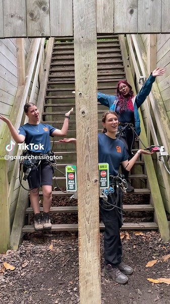 house tour of treetop challenge ✨✨✨#highropes #zipline #goape #adventure #thingstodoinlondon