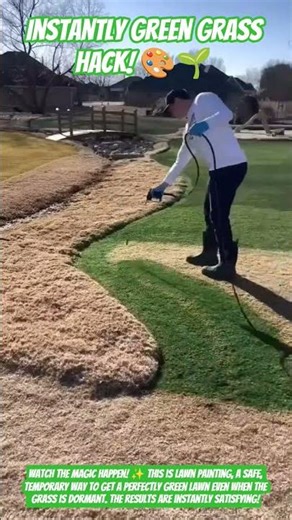 Instantly Green Grass Hack! 🎨🌱 #shorts