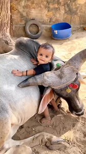 Mashallah | Asghar Ali Hnfi