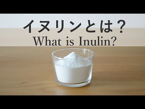 イヌリンとは？効果や使い方、難消化性デキストリンとの違いを解説 What is Inulin? Health benefit, how to use, and the difference from…