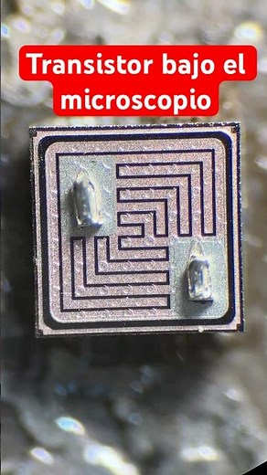 🔬 TIP31 Transistor Under the Microscope