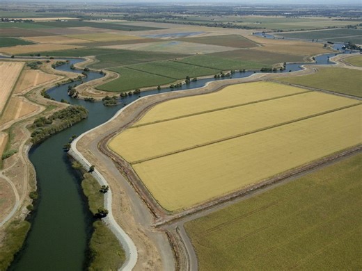 Water managers point to early successes as Bay-Delta Plan advances